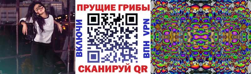 Галлюциногенные грибы прущие грибы  Гагарин 